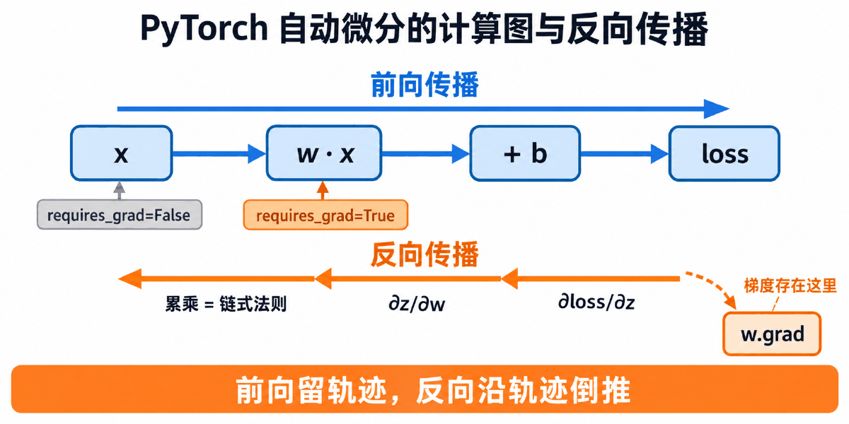图② 自动微分：前向建计算图，反向沿图倒推梯度