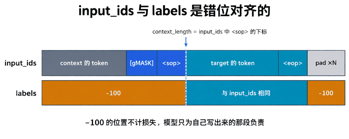 图② input_ids 与 labels 的错位对齐